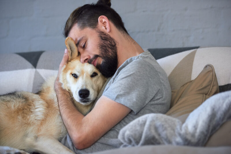 A man and his dog are sleeping in bed.