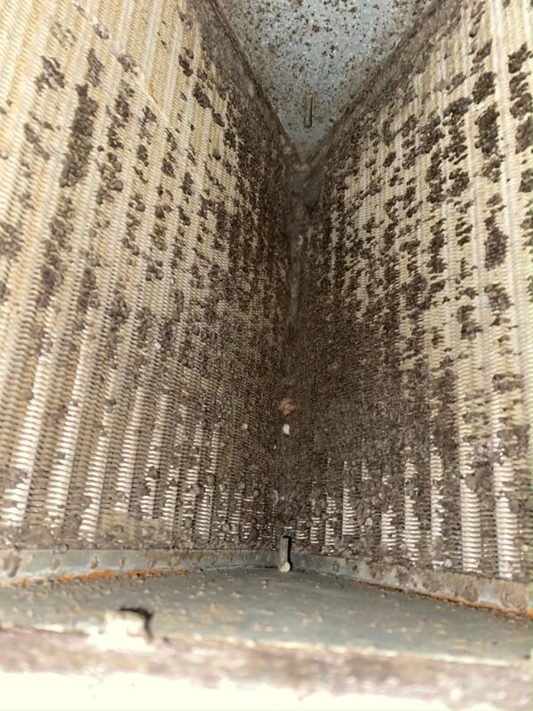 A wall with many rows of nails in it