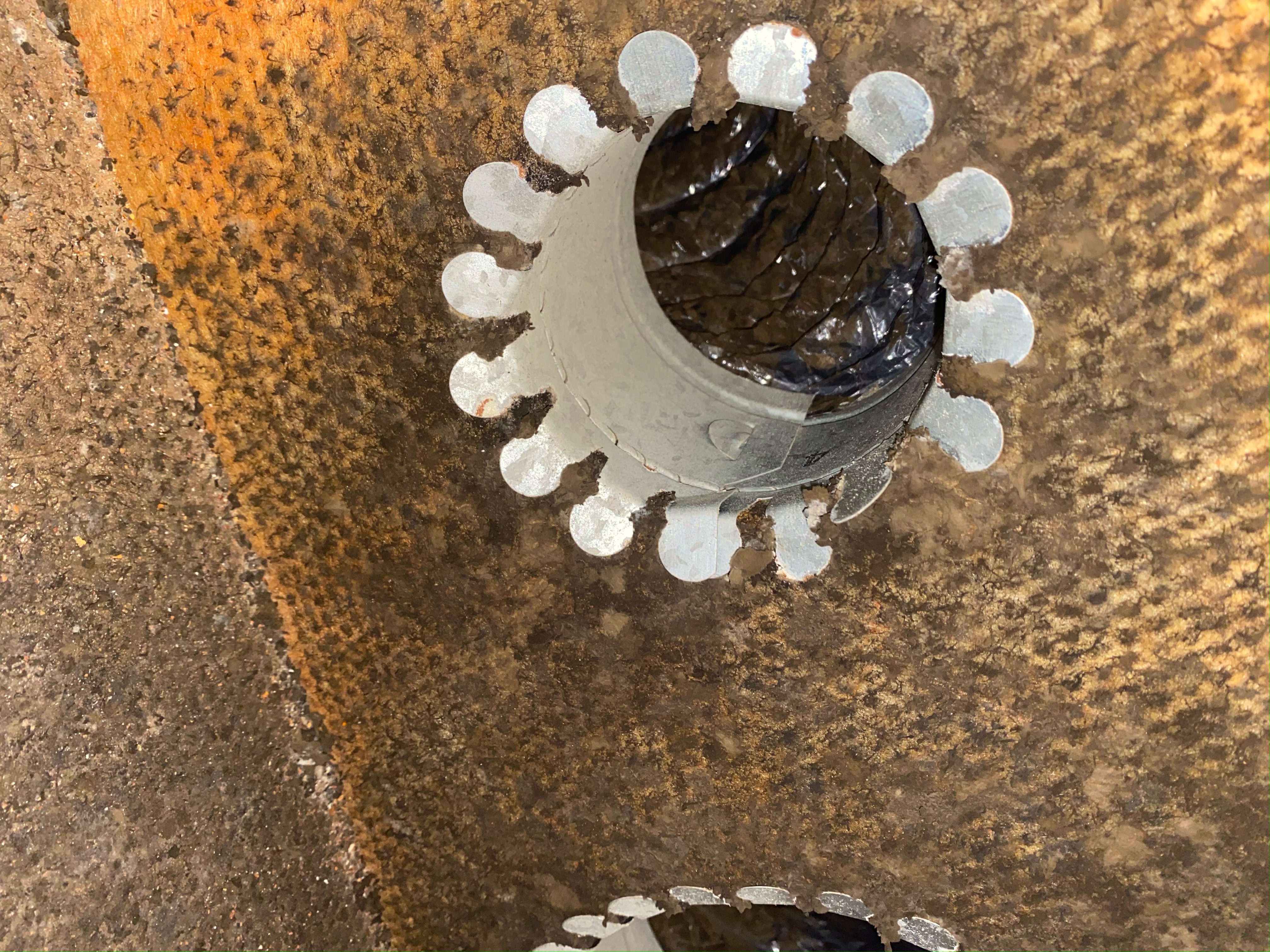 A close up of the inside of a speaker