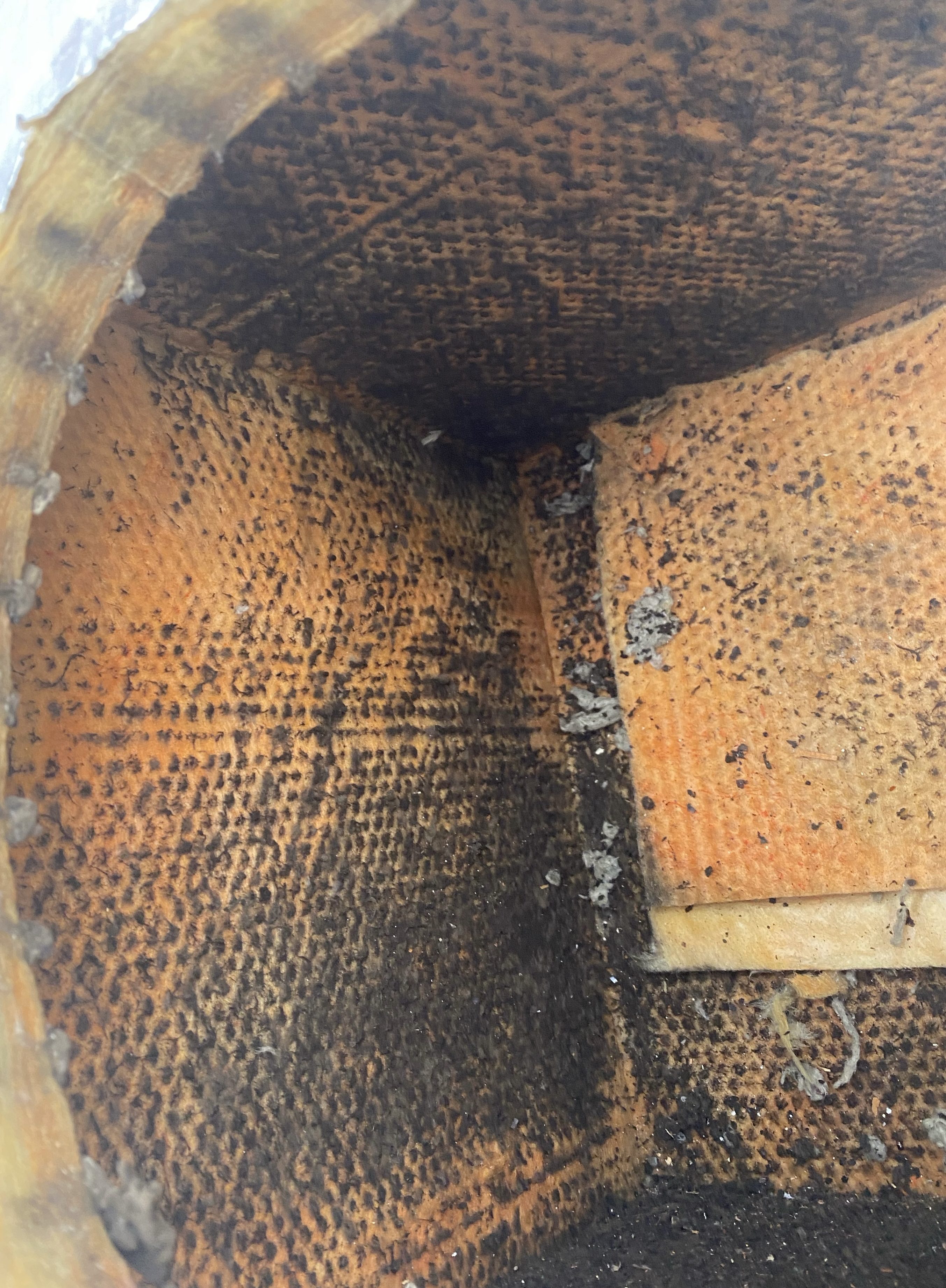 The inside of a beehive is covered in dirt and gallery.